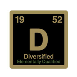 DiversifiedLogo7